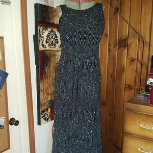 Females  Dress Barn  Evening Gown